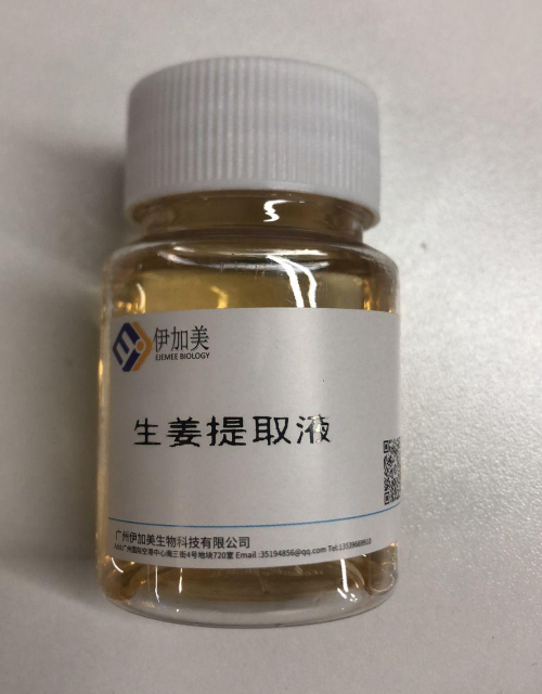 生姜提取液