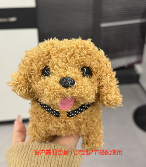 电动玩具泰迪