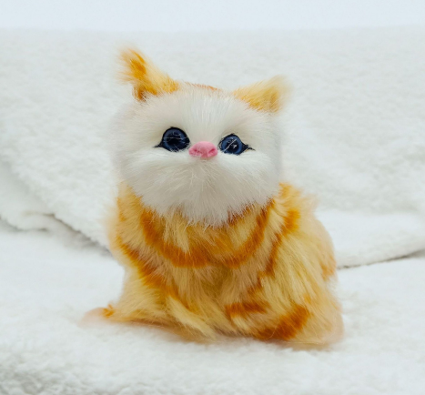 橘花猫（会叫）