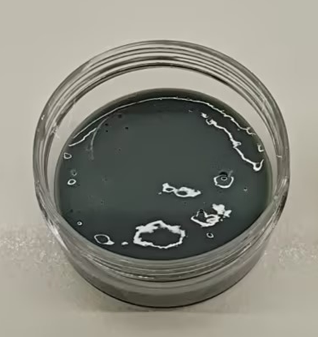 化妆品-灰色薄荷牙膏
