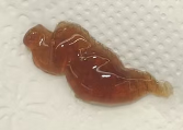 单剂黑色染发剂
