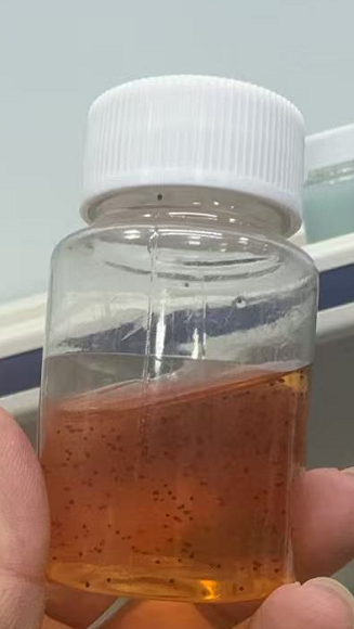 化妆品-橙色清香味沐浴露+核桃粒子