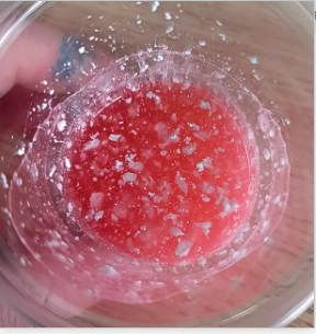 化妆品-龙血保湿面霜