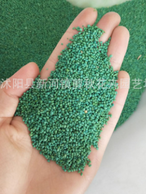 绿色草坪种子30g