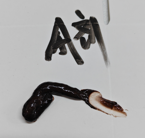 化妆品-染发剂A剂（黑色）