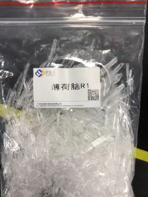薄荷脑R1