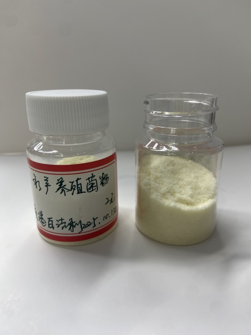 水产养殖菌粉