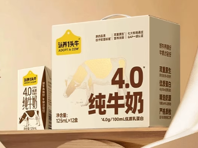 纯牛奶