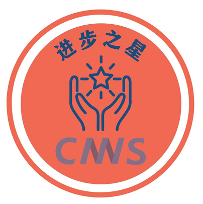 勋章(进步之星)