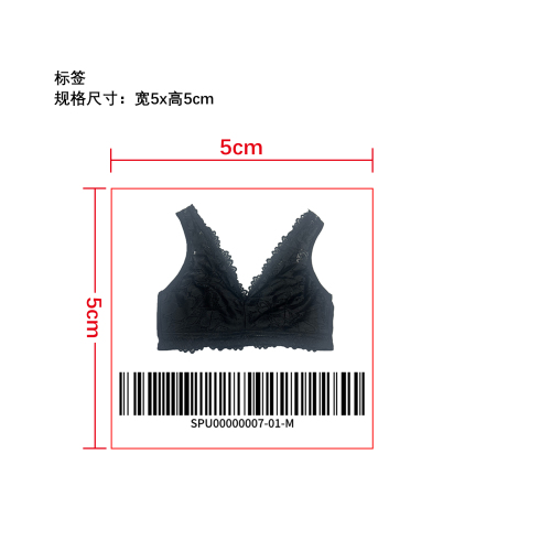 性感蕾丝 V 领内衣   标签