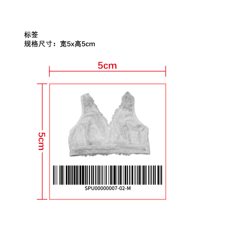 性感蕾丝 V 领内衣   标签
