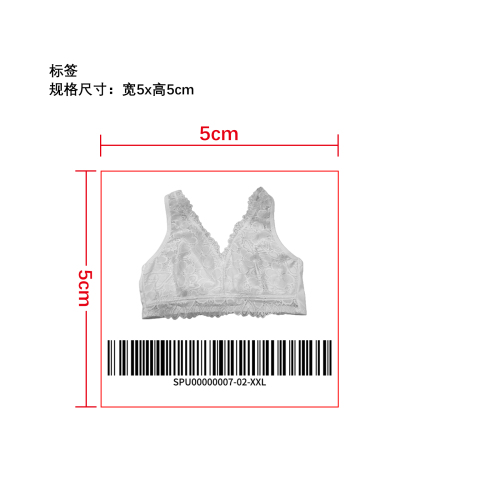 性感蕾丝 V 领内衣   标签