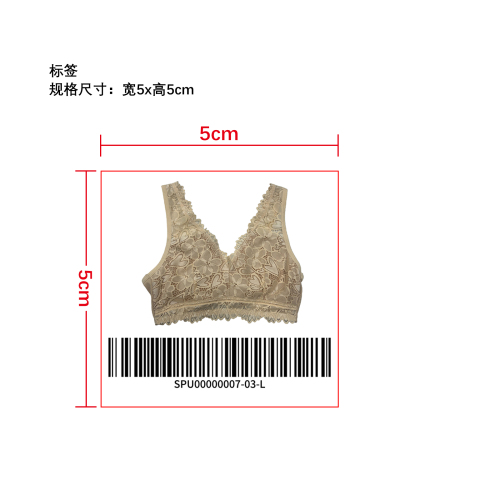 性感蕾丝 V 领内衣   标签