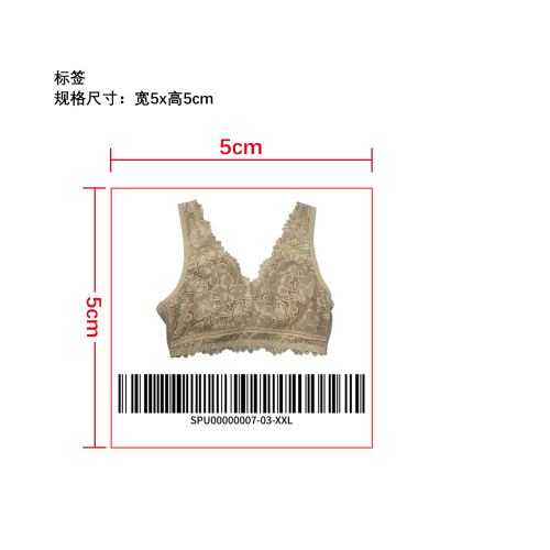 性感蕾丝 V 领内衣   标签