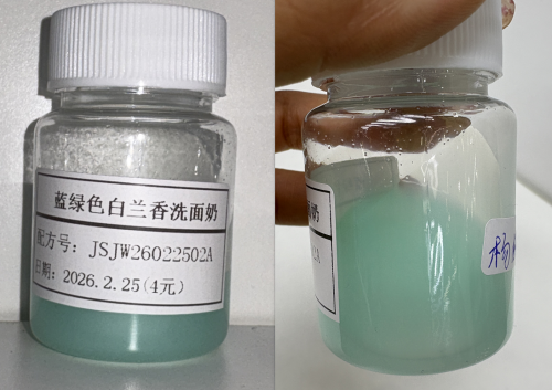 化妆品-蓝绿色白兰味洗面奶（JSJW26022502A）