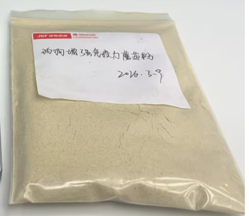宠物复合蘑菇粉