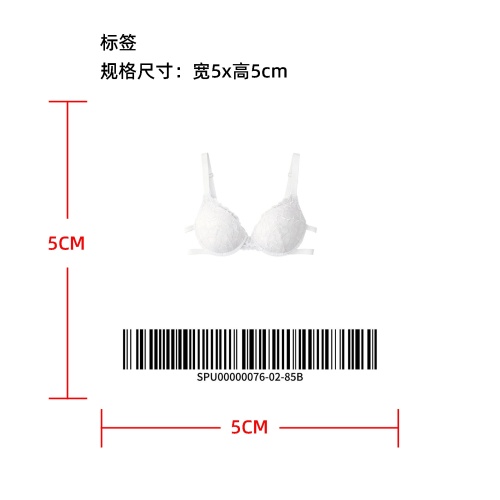 隐形露背露肩内衣  标签