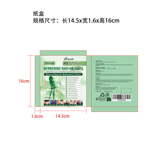 高级10合1辣木与小檗碱微针纳米贴纸盒