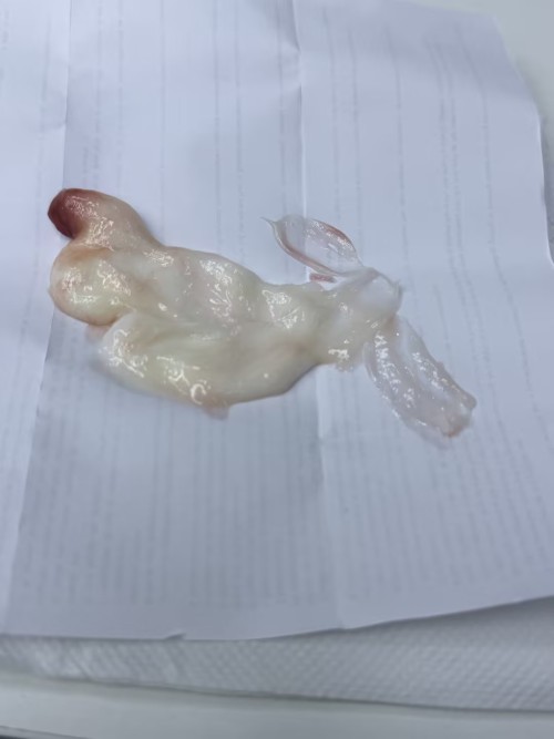化妆品-灰色染发膏