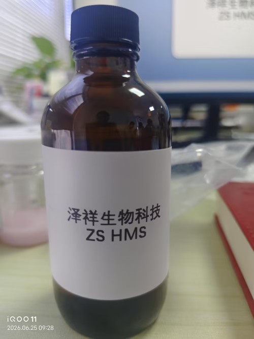 ZS HMS