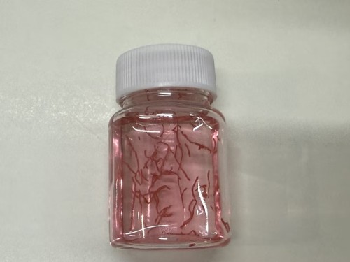 化妆品-粉色浅香味精华液+粉色蚕丝定制颜色香味减半（JSJL26070706A）