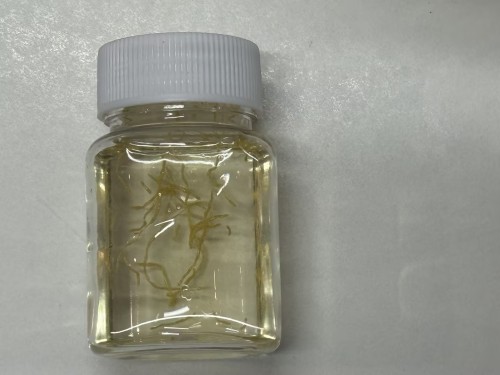 化妆品-淡黄色清香味精华液+金色蚕丝定制颜色香味减半（JSJL26070707A）