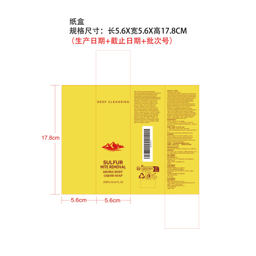 硫磺清洁液体皂纸盒