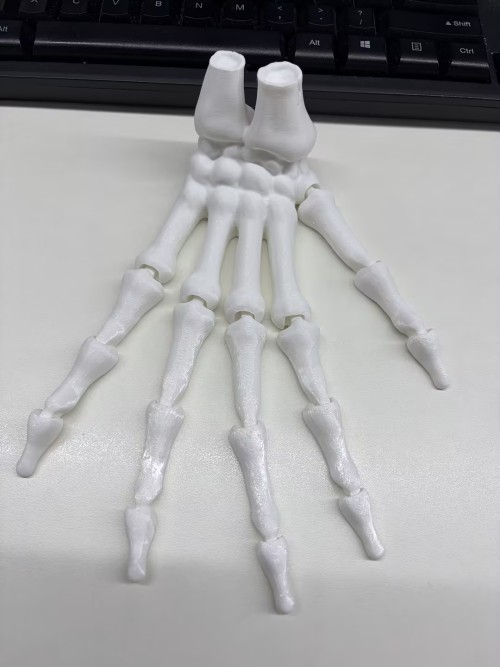 骷髅手玩具