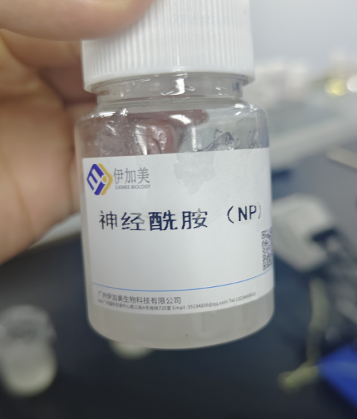 神经酰胺 NP