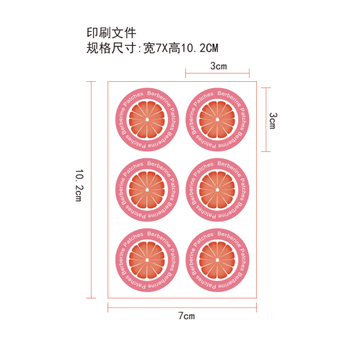 小檗碱辅助贴片