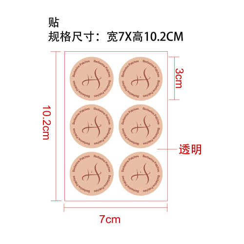 小檗碱健康贴片