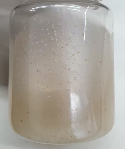 化妆品-黄棕色绿茶味洗面奶+核桃粒子（JSJW26081501A）