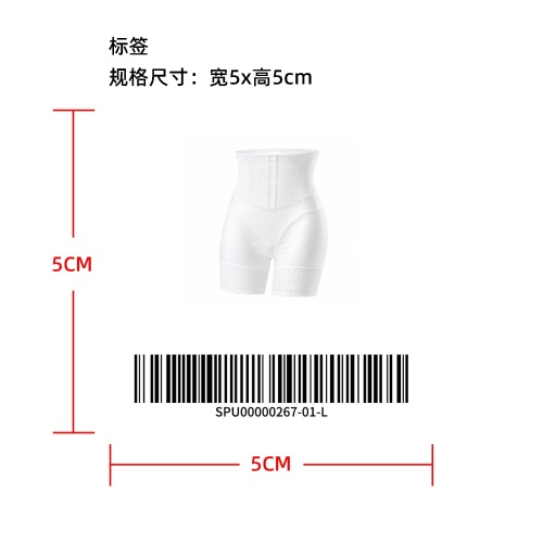蕾丝缎面高腰内裤 TEMU上架版标签