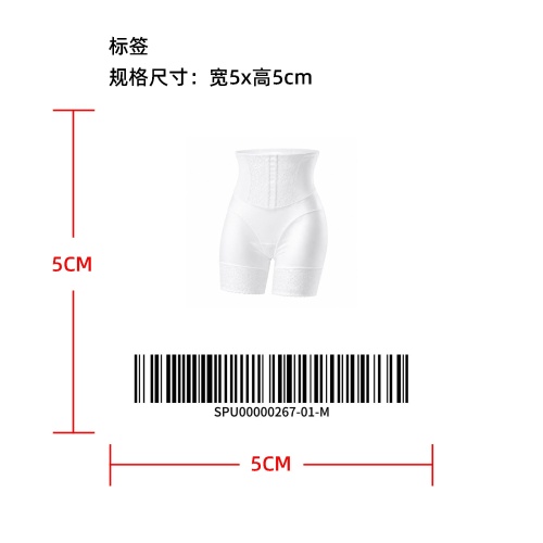 蕾丝缎面高腰内裤 TEMU上架版标签