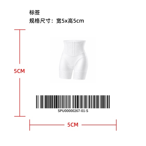 蕾丝缎面高腰内裤 TEMU上架版标签