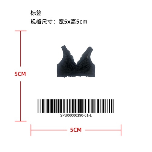 性感蕾丝 V 领内衣temu上架版标签