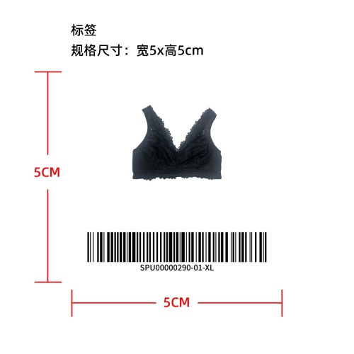 性感蕾丝 V 领内衣temu上架版标签