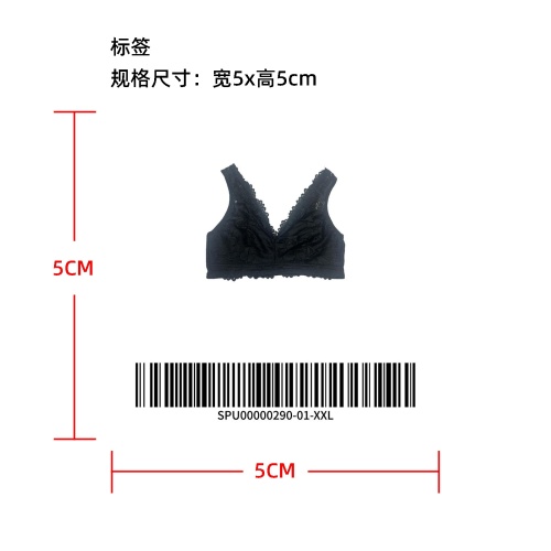性感蕾丝 V 领内衣temu上架版标签
