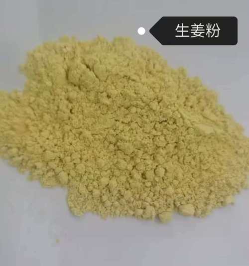 姜黄日常养护营养粉（入口）（袋含料）