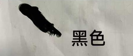 化妆品-黑色单剂泡泡染