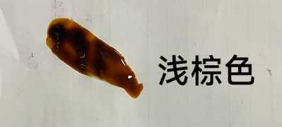 化妆品-浅棕色单剂泡泡染
