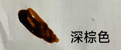化妆品-深棕色单剂泡泡染