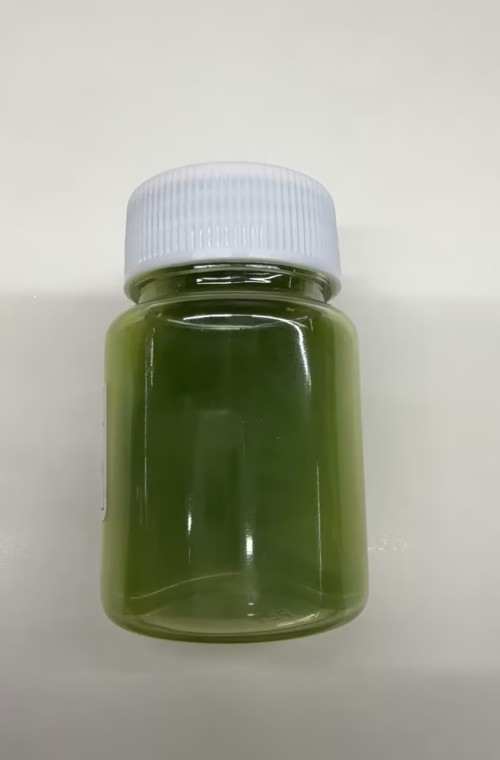 化妆品-抹茶绿色绿茶味私处清洁乳（JSJL26090102A）