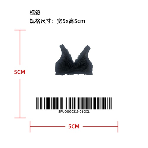 性感蕾丝 V 领内衣透明袋子temu上架版标签