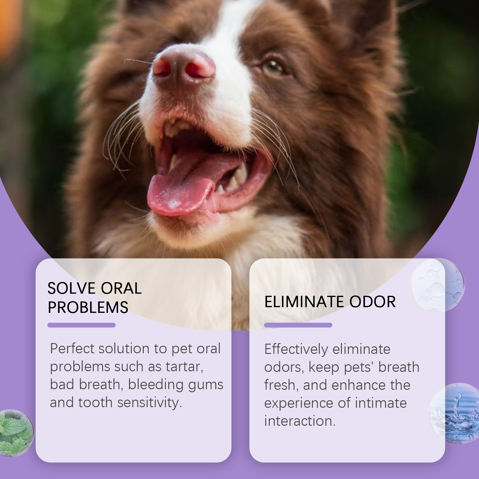 Munvårdsspray för hundar och katter för fräsch andedräkt_voghion.com