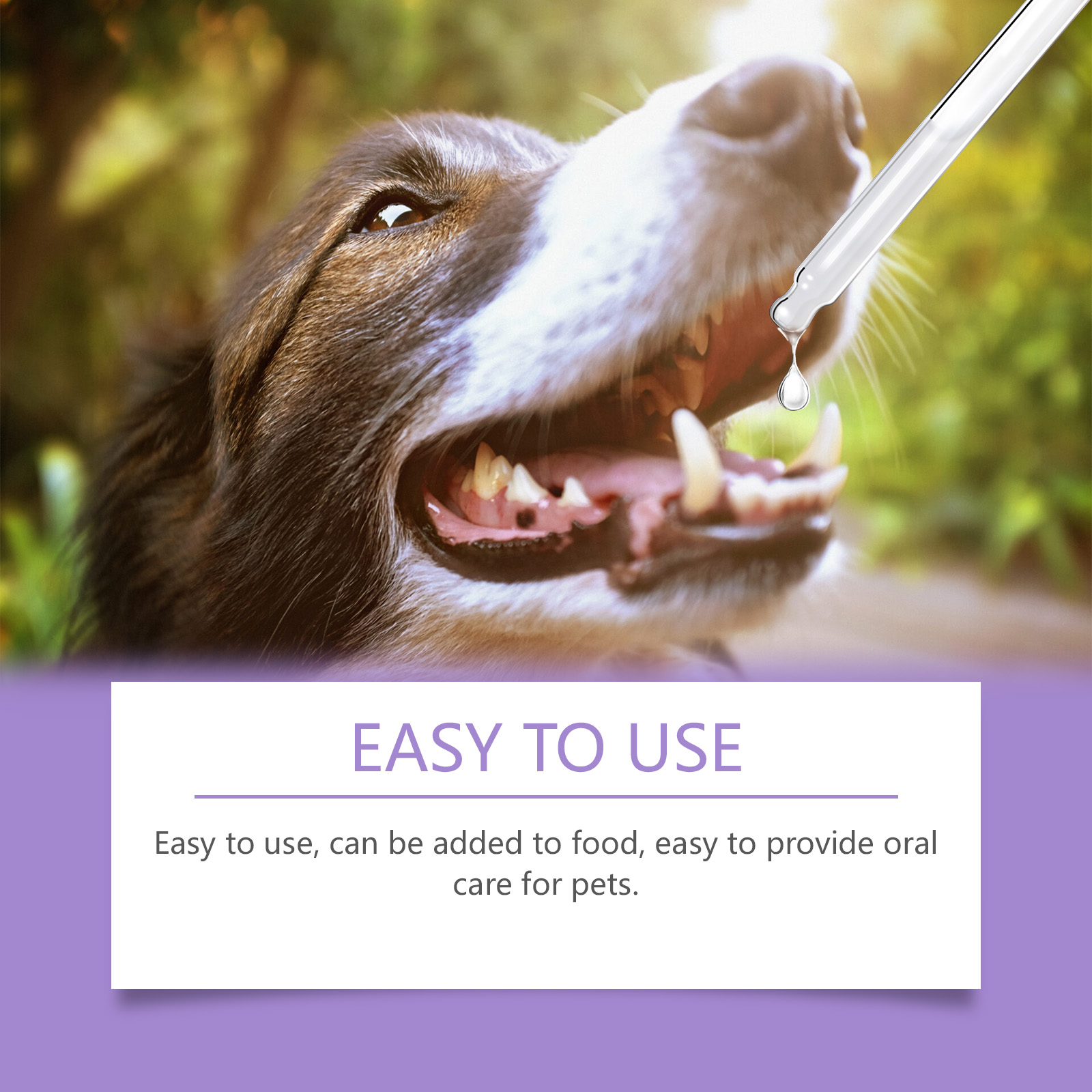 Munvårdsspray för hundar och katter för fräsch andedräkt_voghion.com