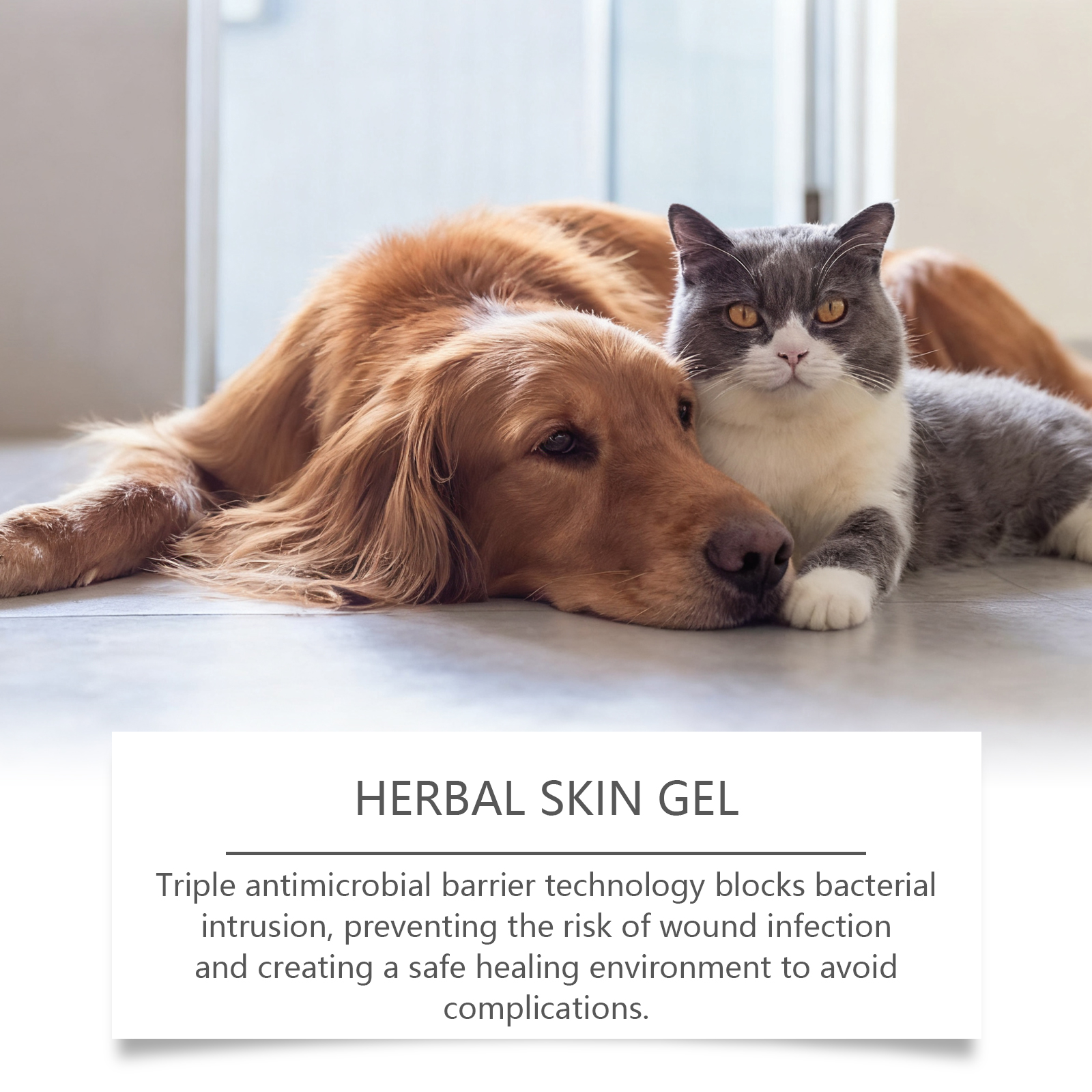Gel para animais de estimação EELJOY, fórmula suave, adequado para cães e gatos, leve e de fácil absorção, para uso diário._voghion.com