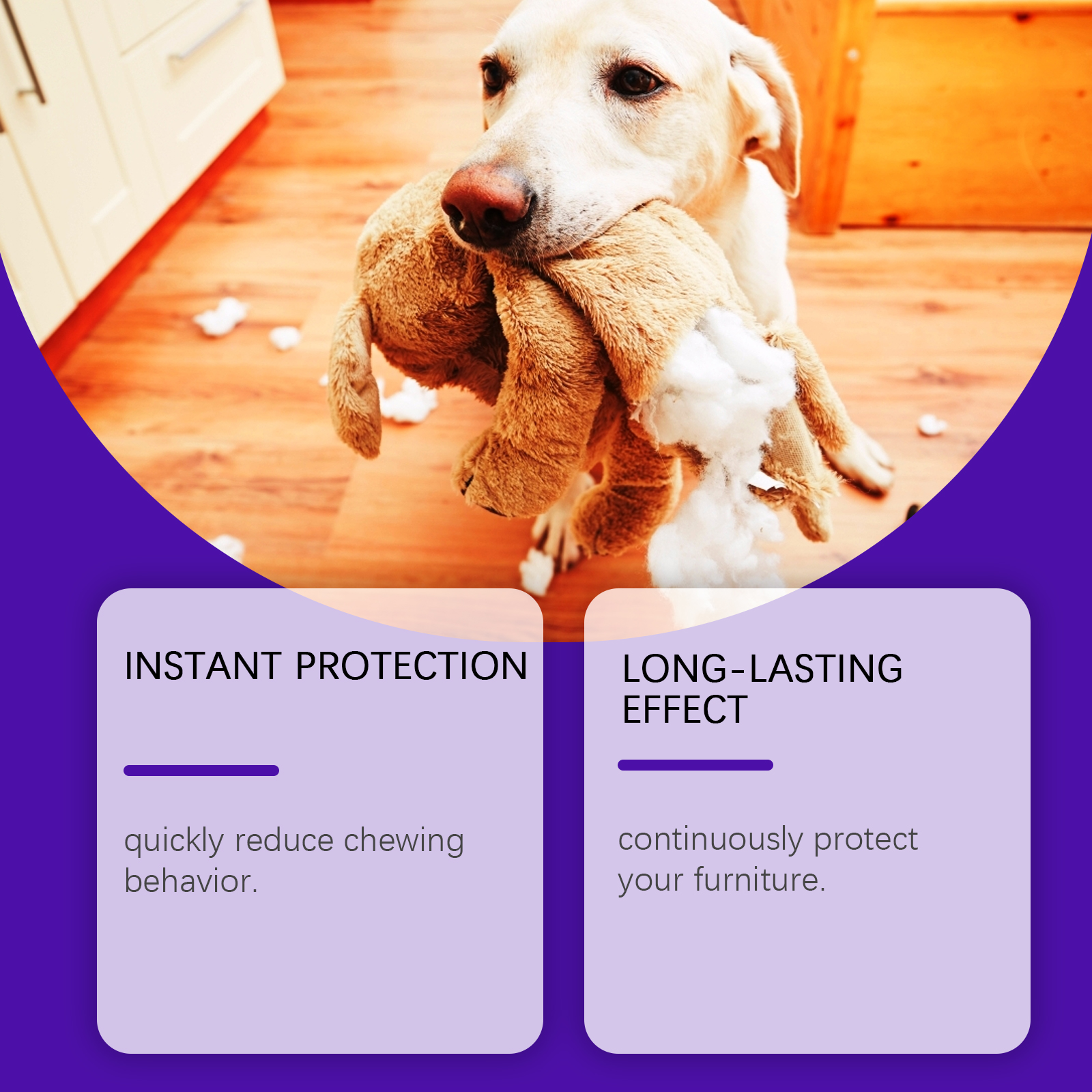 EelJoy Pet Anti-Bite Chew Anti-Lick Bitter Behavior Training Dog Deterrent Spray_voghion.com