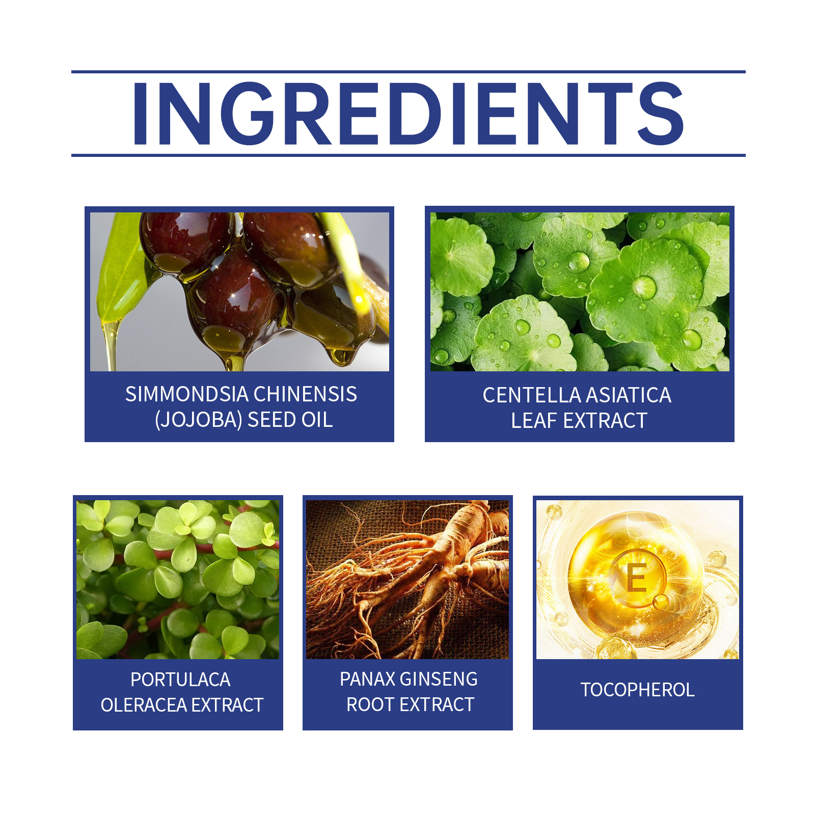 hoygi-gentle-and-nourishing-cleansing-facial-skin-moisturizing-moisturizing-light-and-translucent-skin-care-lotion