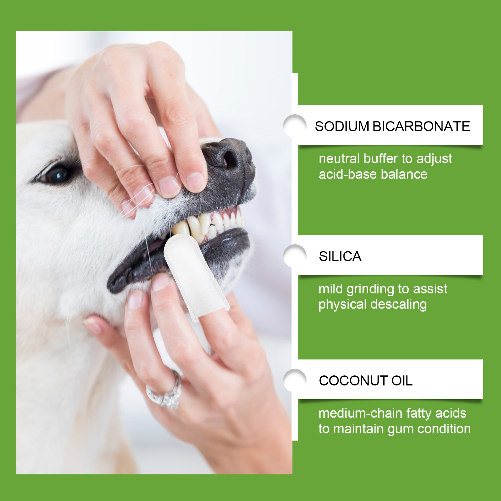 Toallitas para dedo para limpieza de dientes de perro y gato_voghion.com